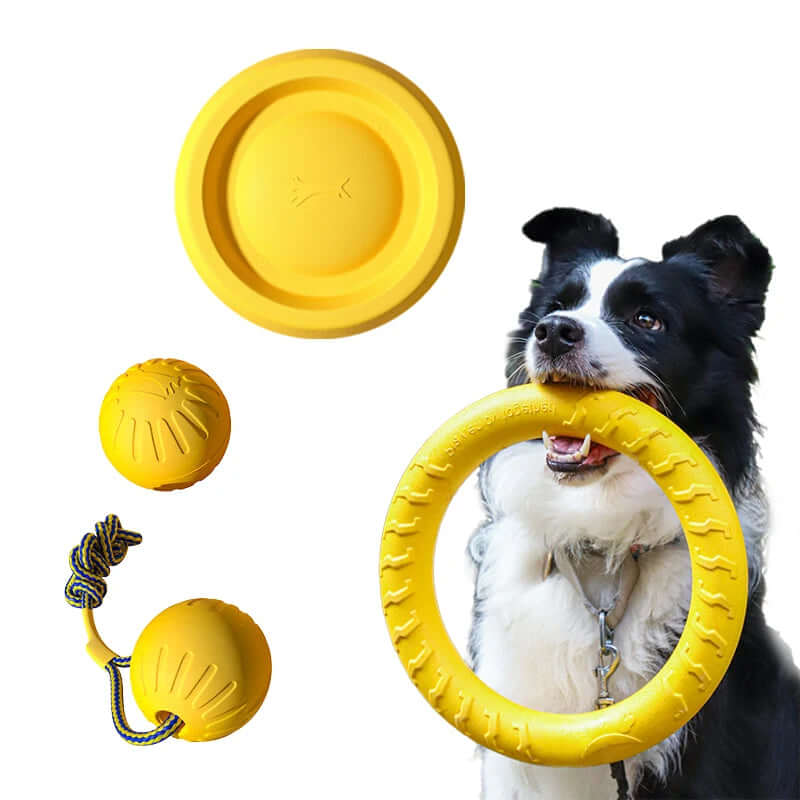 Dog Toys – Rope and Tug Toys