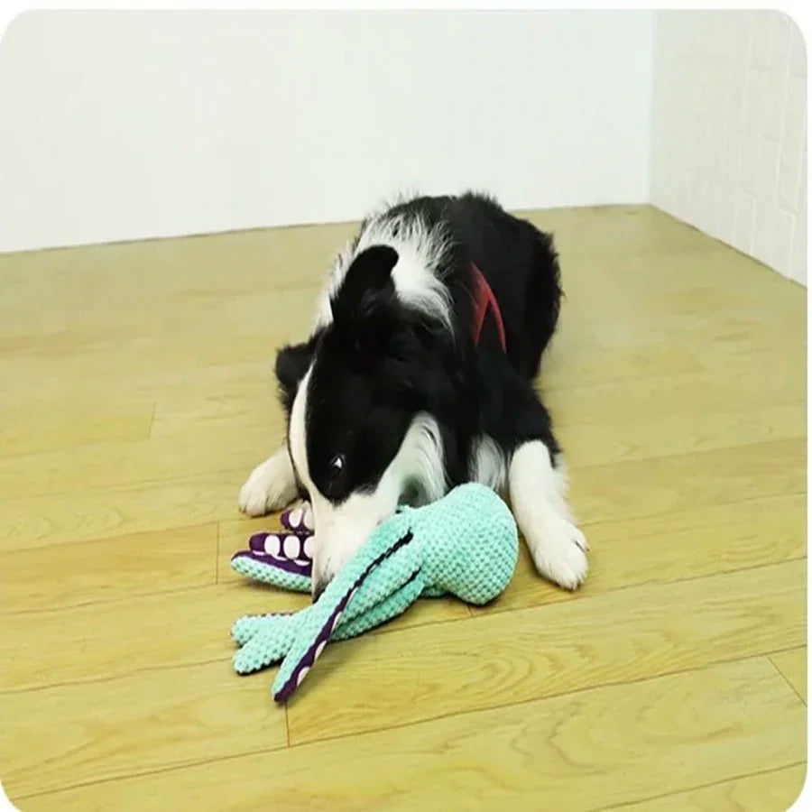 Dog lying on a wooden floor with a green toy