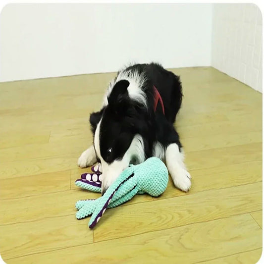 Dog lying on a wooden floor with a green toy