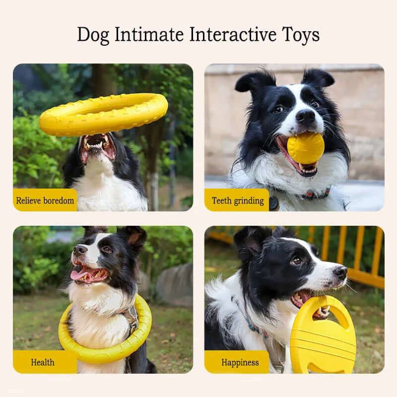 Dog toys with text indicating their benefits on a white background