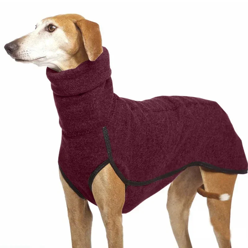 Dog wearing a maroon fleece coat on a white background