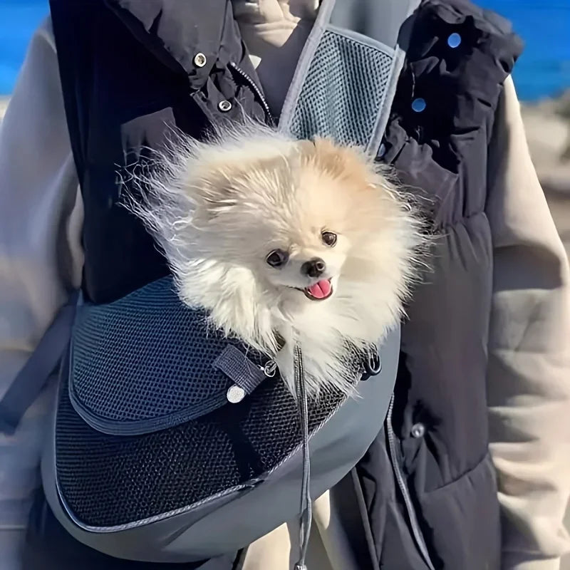 Small fluffy dog in a pet carrier held by a person on a beach.
