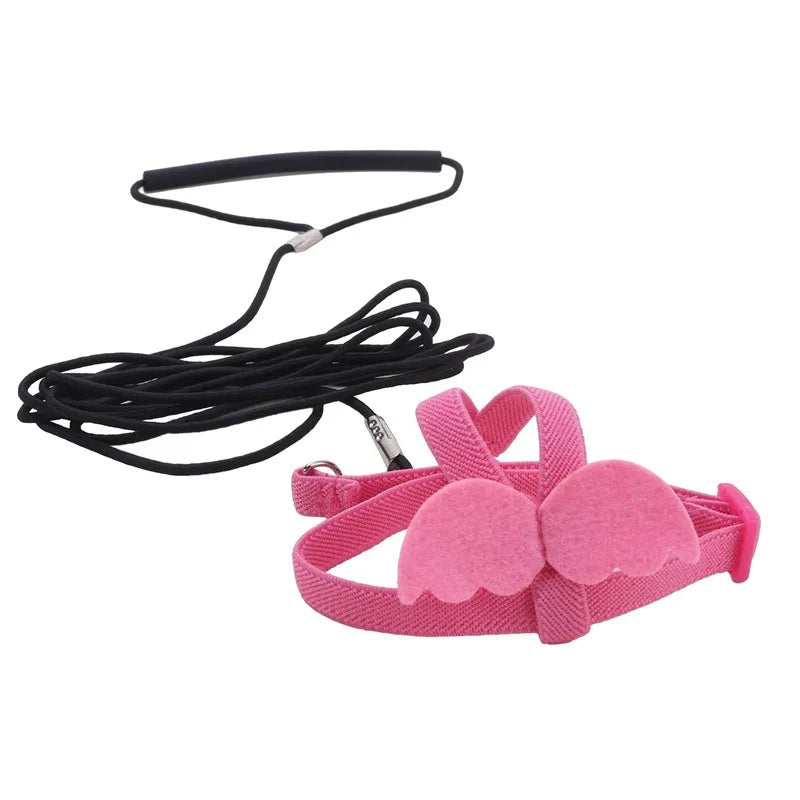 Pink dog muzzle with black leash on a white background
