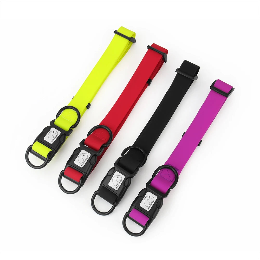 Four dog collars in yellow, red, black, and purple on a white background