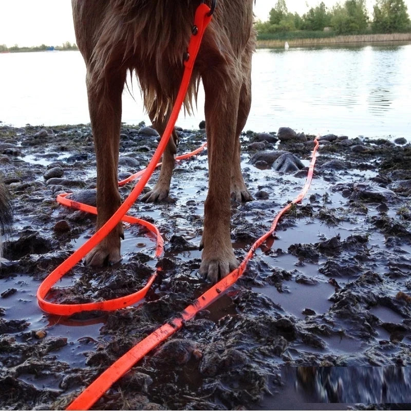 Dog on a leash standing in muddy water near a body of water with trees in the background.