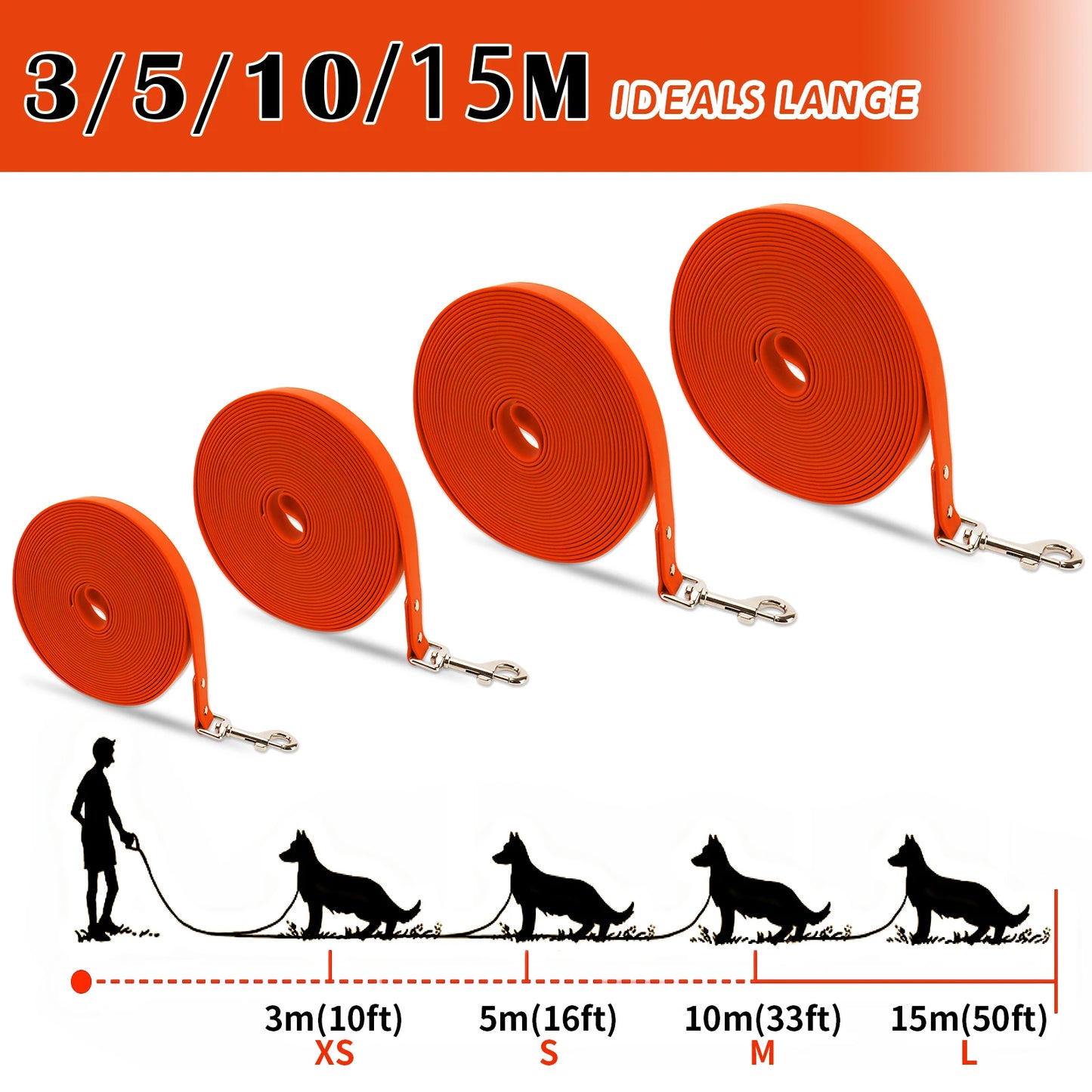 Set of orange dog leashes with measurement labels on a white background