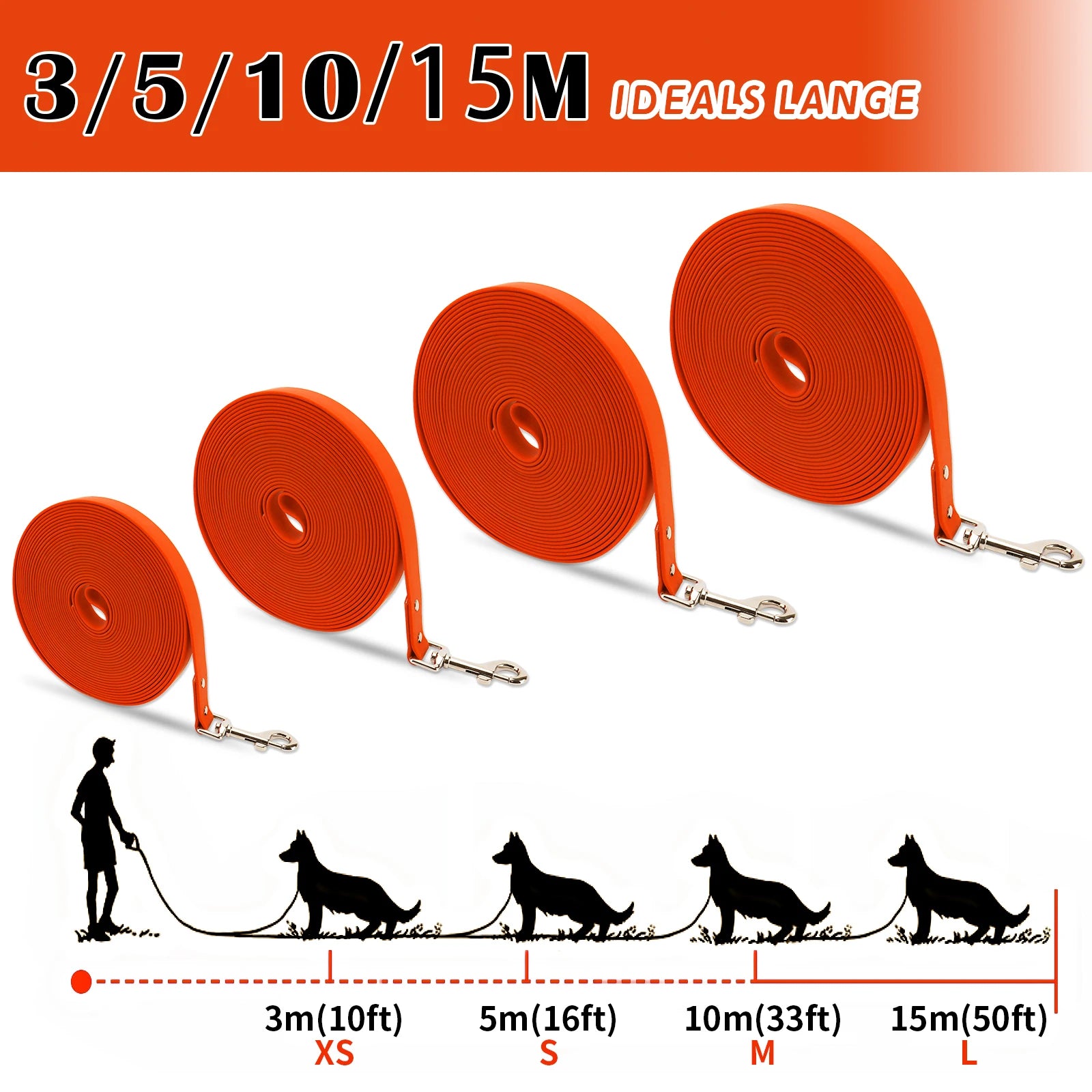 Set of orange dog leashes with measurement labels on a white background