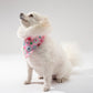 White dog wearing a pink floral bandana on a light gray background