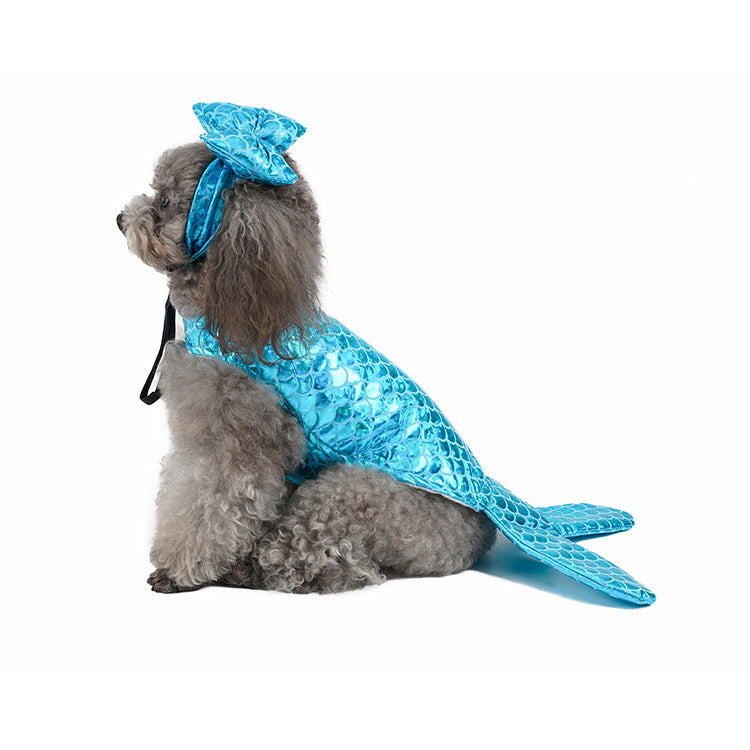 Dog wearing a blue mermaid costume with a tail and headpiece on a white background