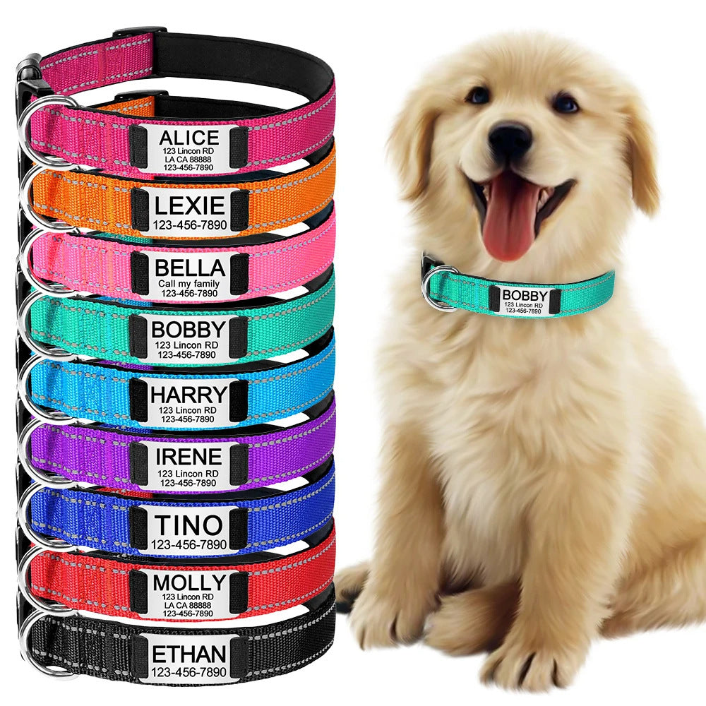 Set of colorful dog collars with name tags next to a golden retriever puppy.