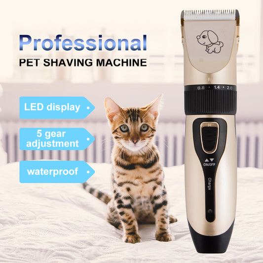 Tondeuse à cheveux de chien Rechargeable USB charge ciseaux électriques tondeuse pour animaux de compagnie animaux toilettage tondeuses chien cheveux coupe Machine