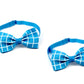 Two blue bow ties with white grid pattern on a white background