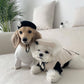 Pet Apparel - Pet Dog Cat Accessories Knitted Hat