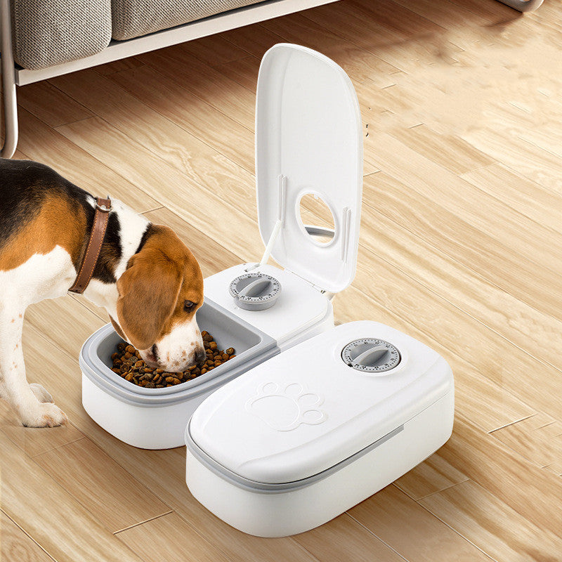 Distributeur de nourriture intelligent pour chats et chiens, minuterie, bol en acier inoxydable, fournitures pour animaux de compagnie